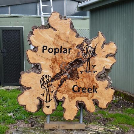 מטאמאטה Poplar Creek B&B מראה חיצוני תמונה