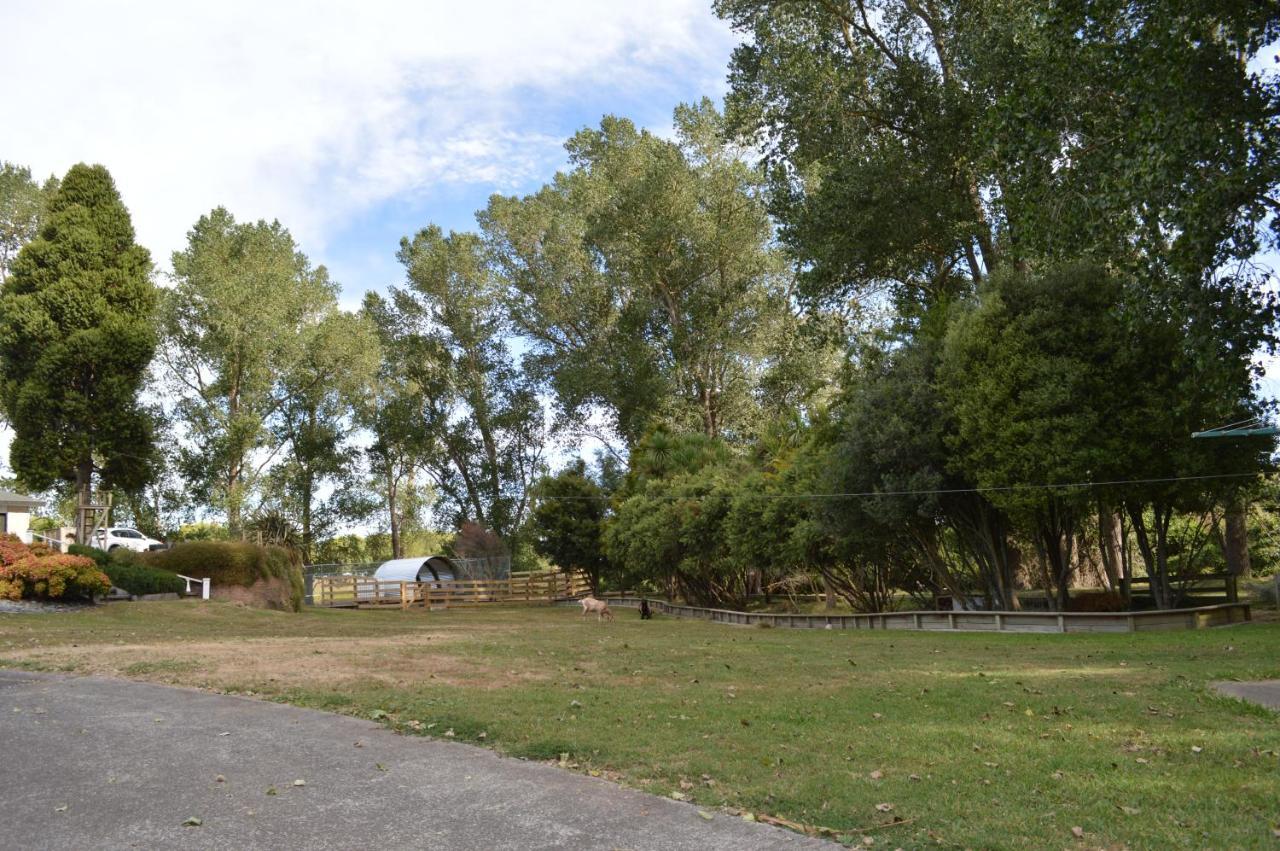 מטאמאטה Poplar Creek B&B מראה חיצוני תמונה