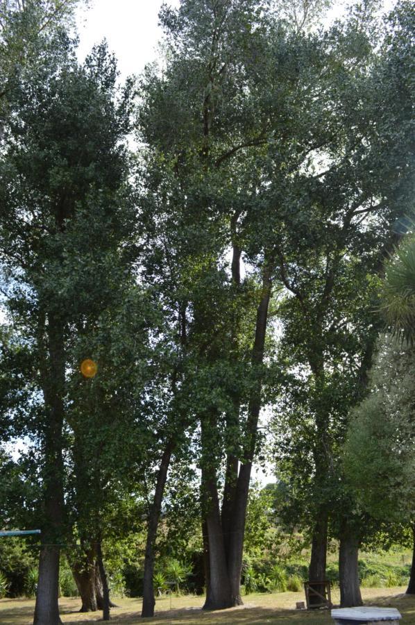 מטאמאטה Poplar Creek B&B מראה חיצוני תמונה